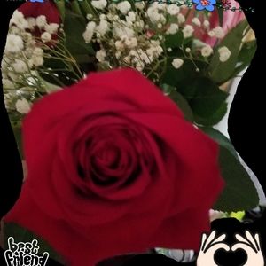 Meet your Posher, Irasema